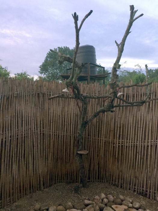 Bush Shower