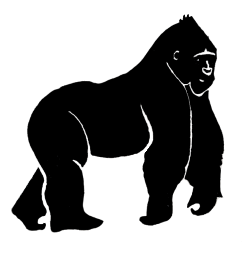 Wildlife Expeditions